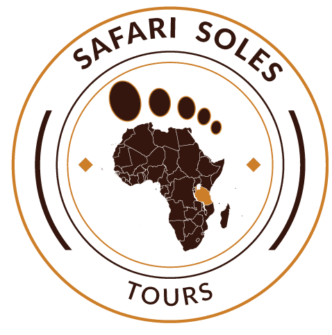 Safari Soles Tours